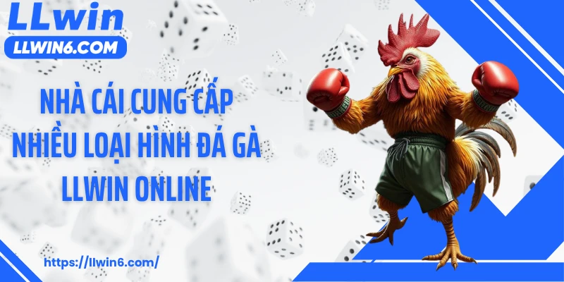 Nhà cái cung cấp nhiều loại hình đá gà LLWIN online
